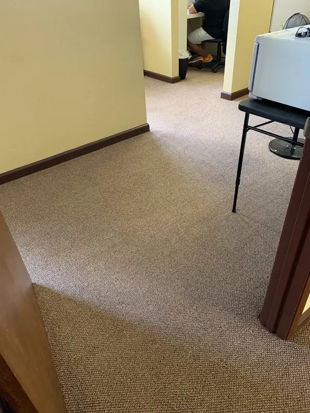 Under The Rug Floorcare Carpet Cleaning San Diego — customer photo 12