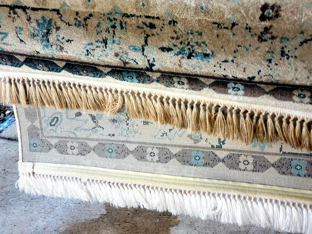 Under The Rug Floorcare Carpet Cleaning San Diego — photo from the business 7