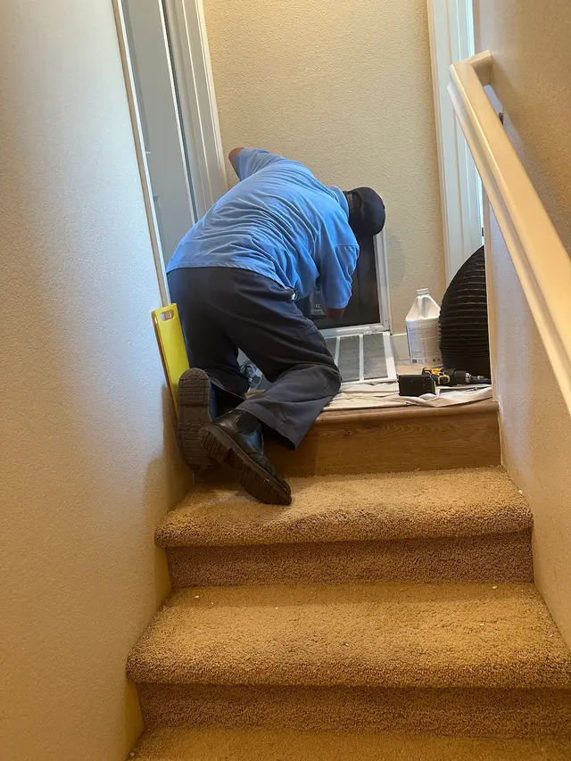 Under The Rug Floorcare Carpet Cleaning San Diego — customer photo 11