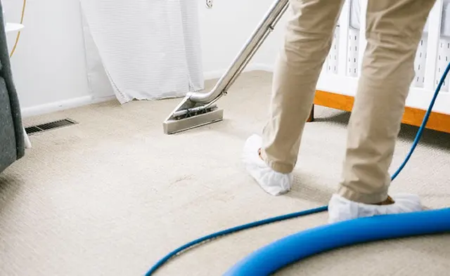 Zerorez Carpet Cleaning — photo from the business 5