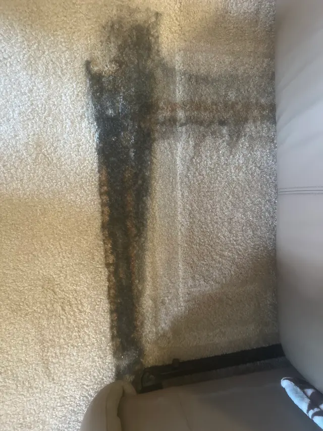 Zerorez Carpet Cleaning — customer photo 6