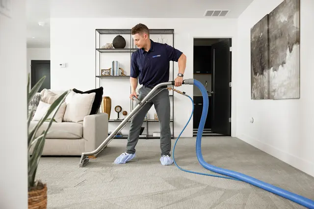Zerorez Carpet Cleaning — photo from the business 1