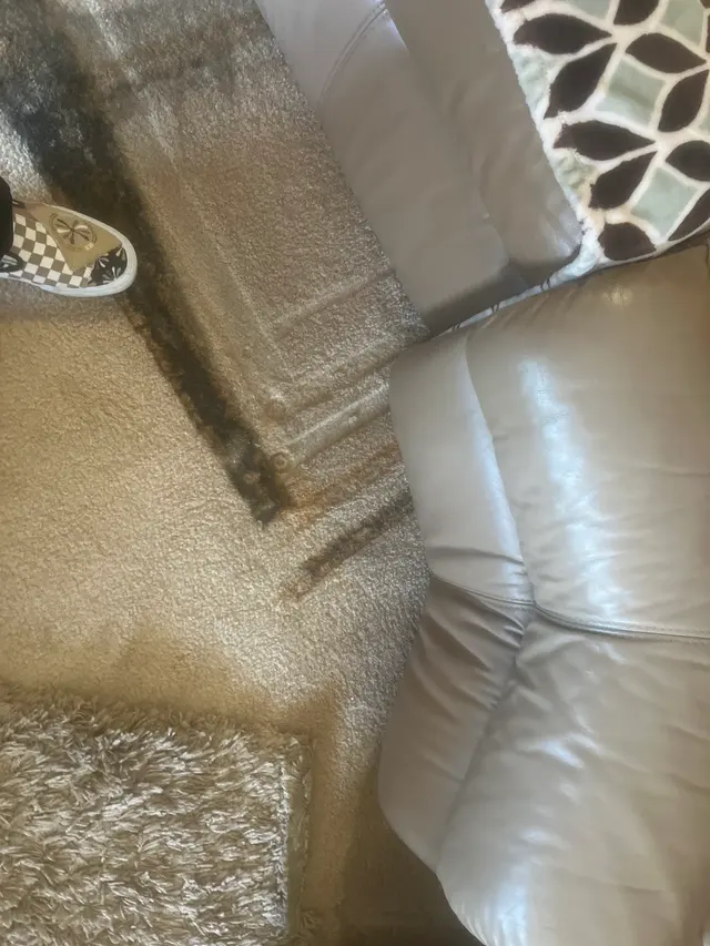 Zerorez Carpet Cleaning — customer photo 7