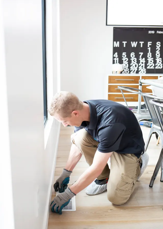 Zerorez Carpet Cleaning — photo from the business 3