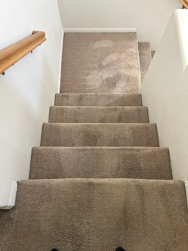 Zerorez Carpet Cleaning — customer photo 10