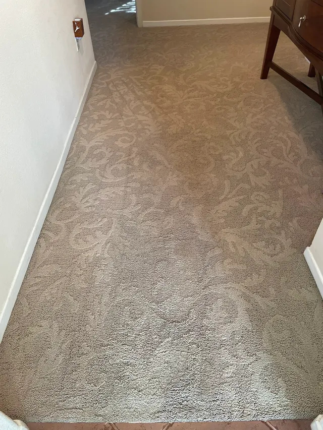 Zerorez Carpet Cleaning — customer photo 11