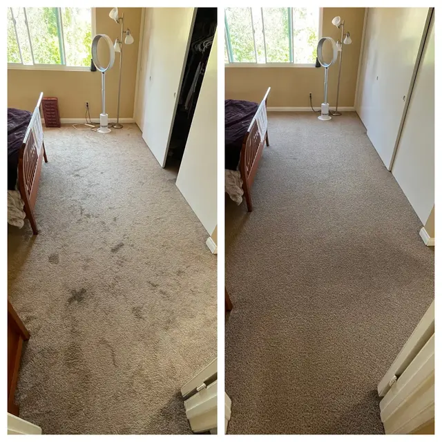 Mega Dry Carpet Cleaning — photo from the business 5