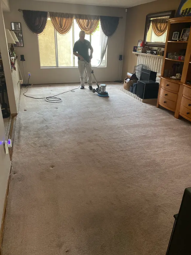 Mega Dry Carpet Cleaning — customer photo 3