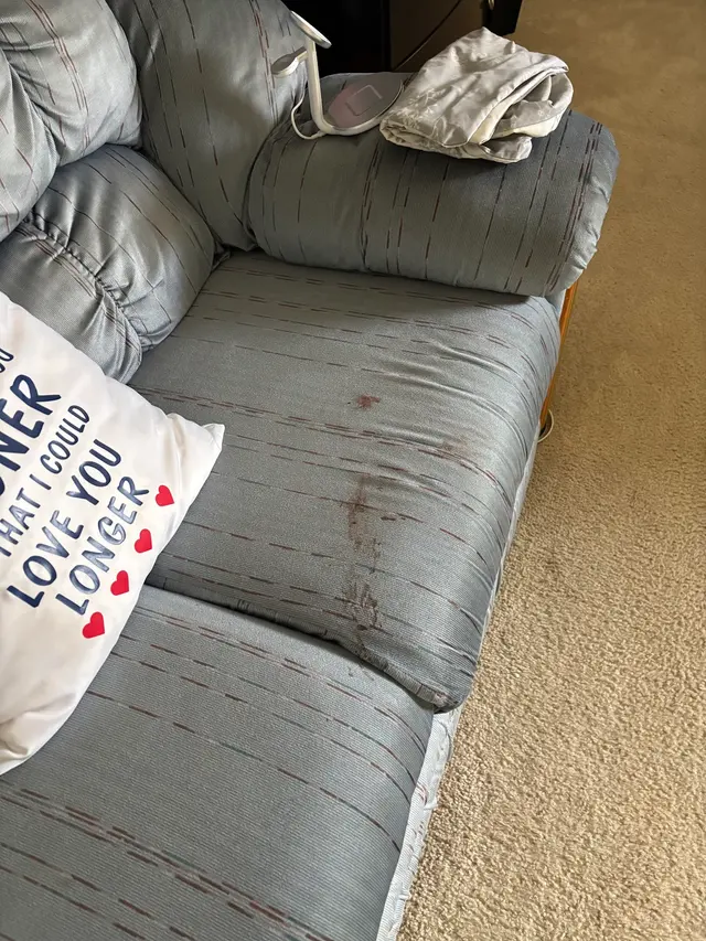 Customer photo from Robin's review