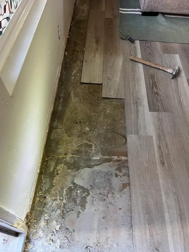 All American Carpet & Tile — photo from the business 9