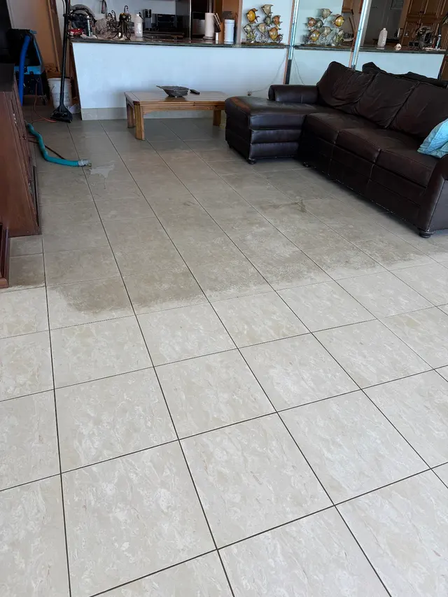 All American Carpet & Tile — photo from the business 12