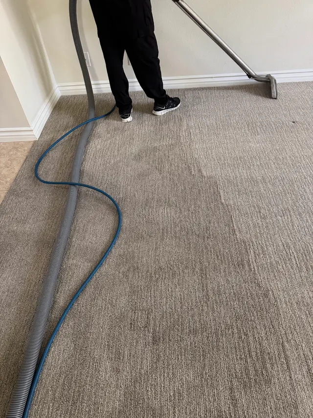 Pacific Pro Carpet Cleaning — photo from the business 2