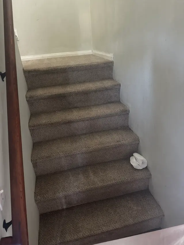 Customer photo from Oscar's review