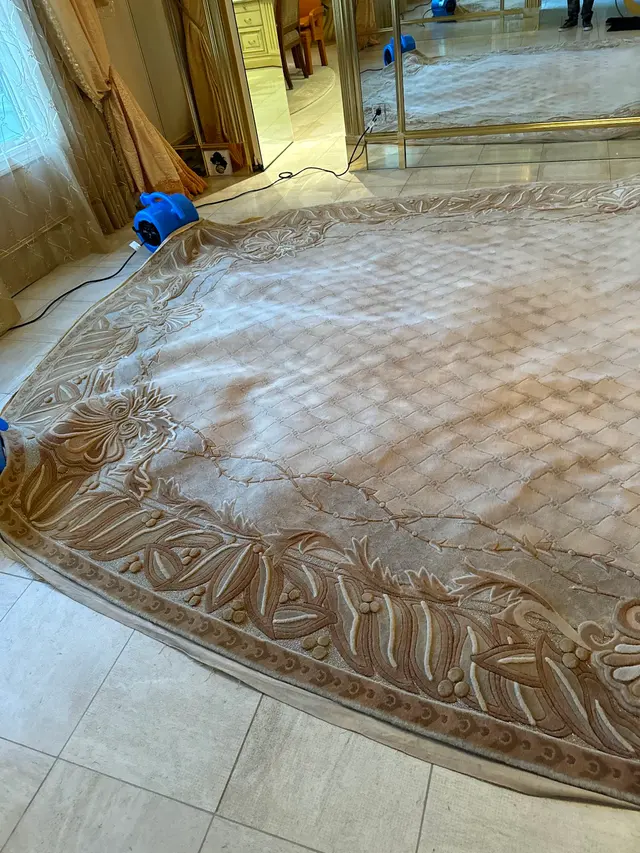 Pacific Pro Carpet Cleaning — photo from the business 11