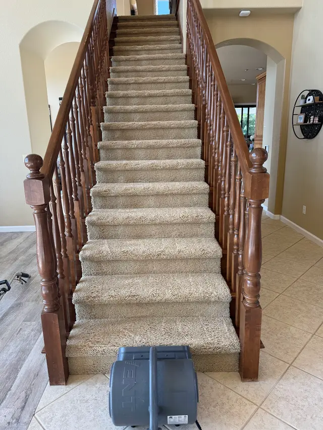 Pacific Pro Carpet Cleaning — photo from the business 4