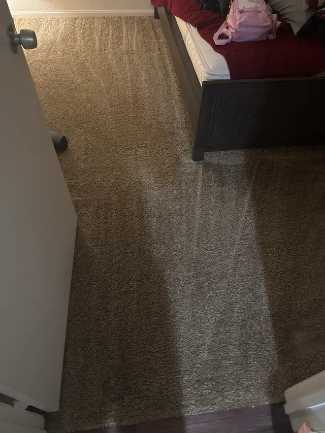 Customer photo of work by Pacific Pro Carpet Cleaning, from Maria Cantero's review