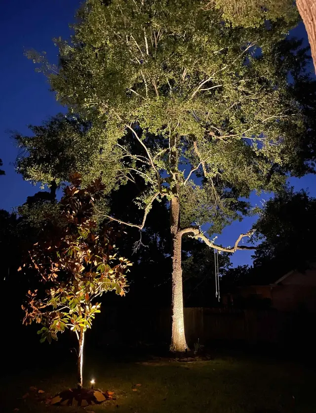 Outdoor Lighting Perspectives of Austin — photo from the business 12