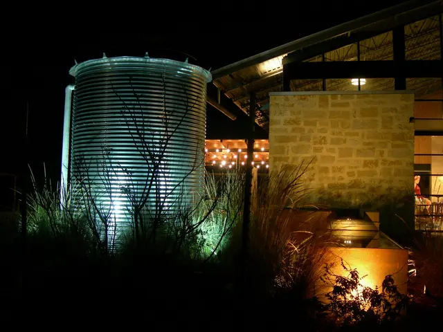 Lux Outdoor Lighting, LLC. — customer photo 2