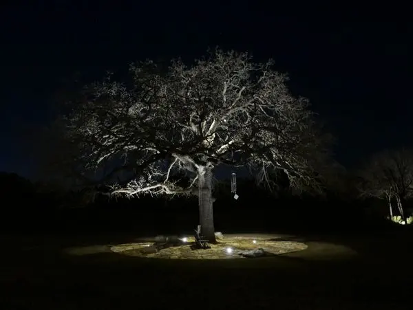 Illumination Concepts | Landscape Lighting — photo from the business 8