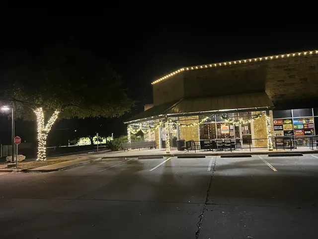 Humbug Holiday Lighting of Central Austin-Round Rock-Pflugerville — photo from the business 2