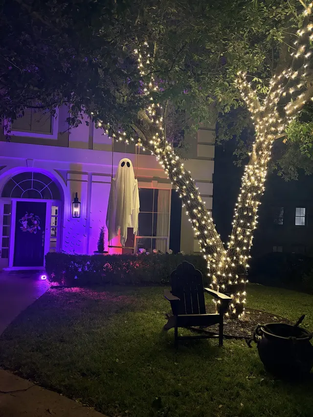 Customer photo of work by Humbug Holiday Lighting of Central Austin-Round Rock-Pflugerville, from Rachel Kohn's review