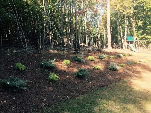 Redwood Land Design — photo from the business 7