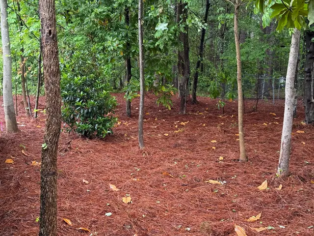 Customer photo of work by Walters Landscapes, LLC, from Lisa Bryant's review