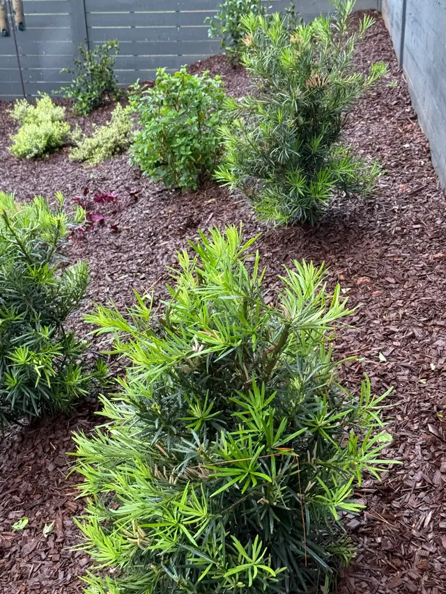 Customer photo of work by Walters Landscapes, LLC, from Lisa Bryant's review