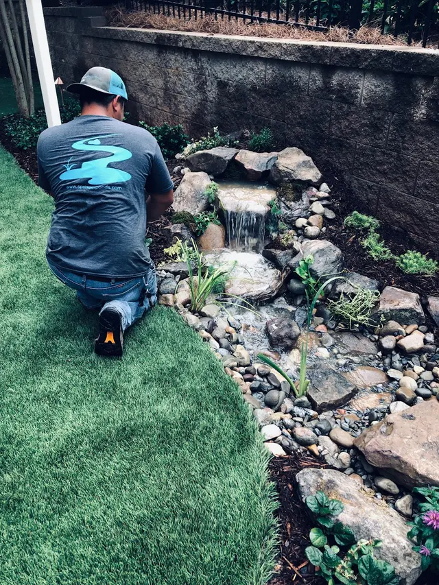 Springer Ponds & Water Gardens — photo from the business 9