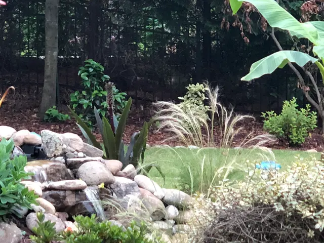 Springer Ponds & Water Gardens — photo from the business 8