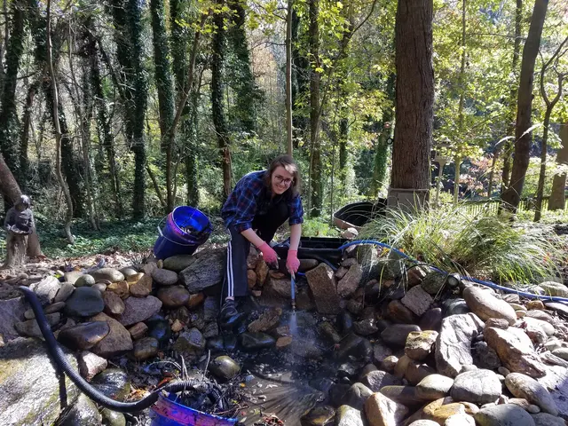 Springer Ponds & Water Gardens — photo from the business 11