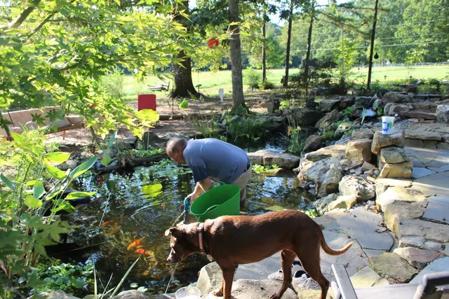 Springer Ponds & Water Gardens — photo from the business 4