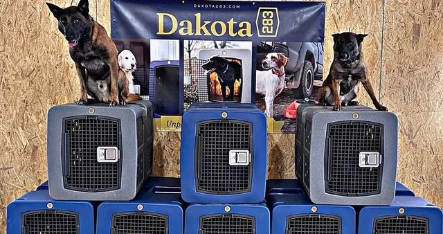 Cornerstone K9 — photo from the business 6