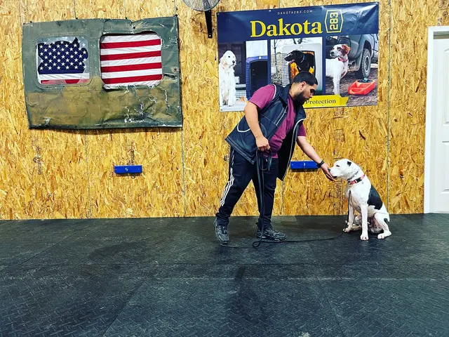 Cornerstone K9 — photo from the business 9