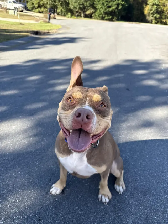 Customer photo from Lena's review