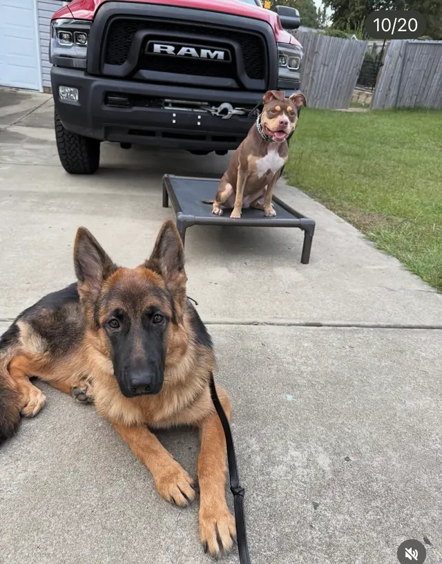 Customer photo from Lena's review