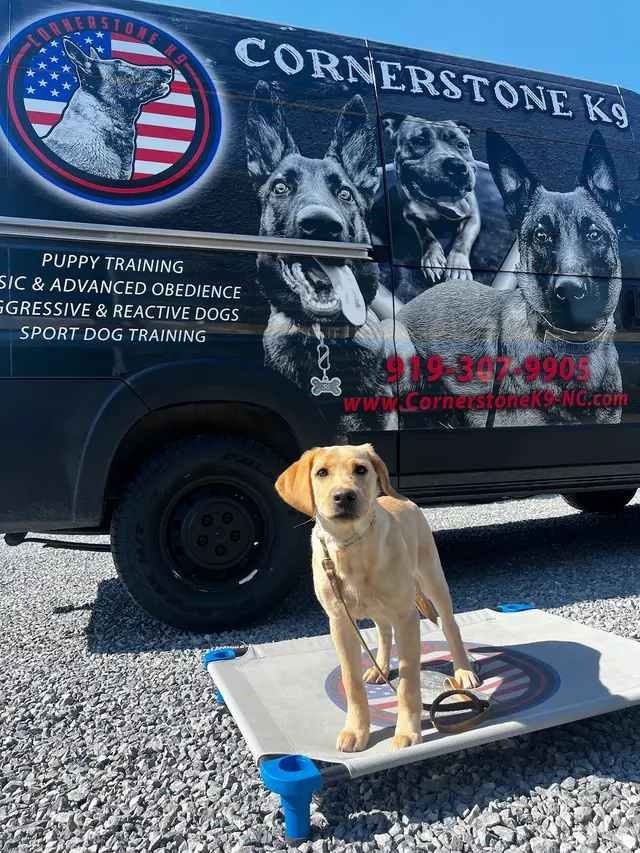 Cornerstone K9 — photo from the business 1