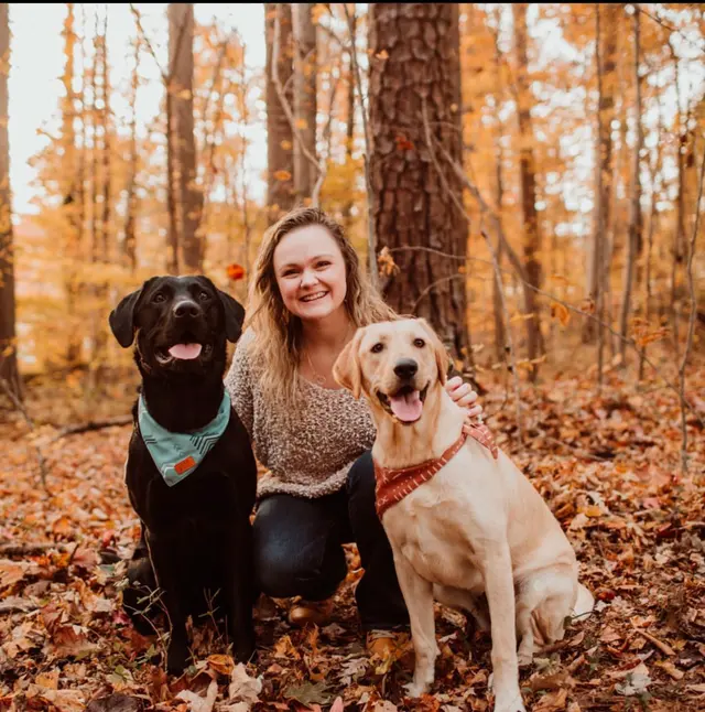 Cornerstone K9 — photo from the business 8