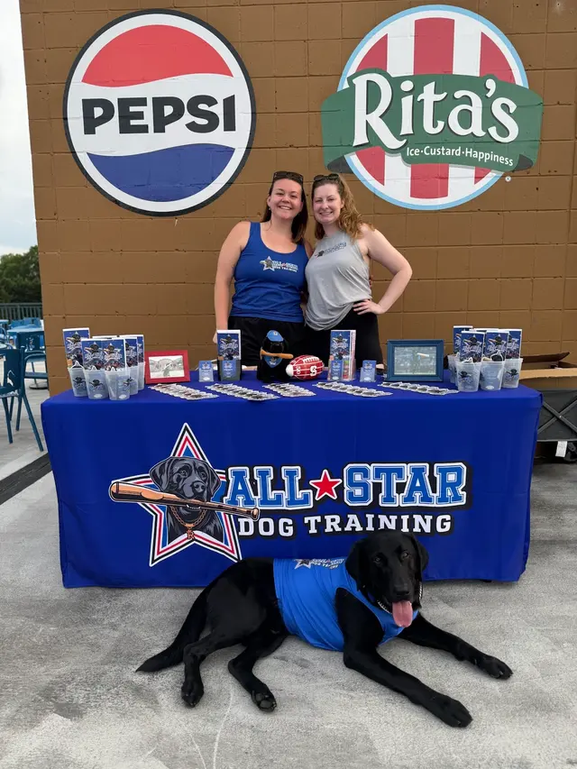 All-Star Dog Training — photo from the business 7