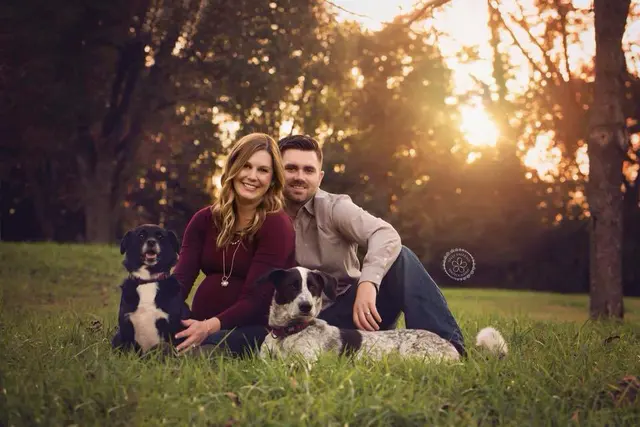 All-Star Dog Training — photo from the business 12