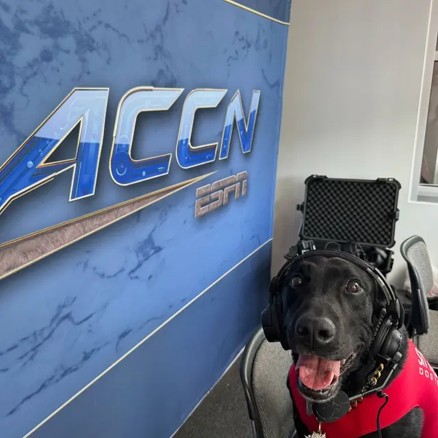 All-Star Dog Training — photo from the business 2
