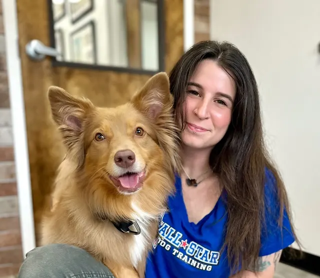 All-Star Dog Training — photo from the business 11