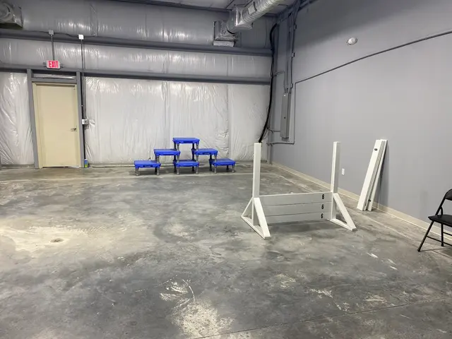 Blue Line K-9 Dog Training — photo from the business 3