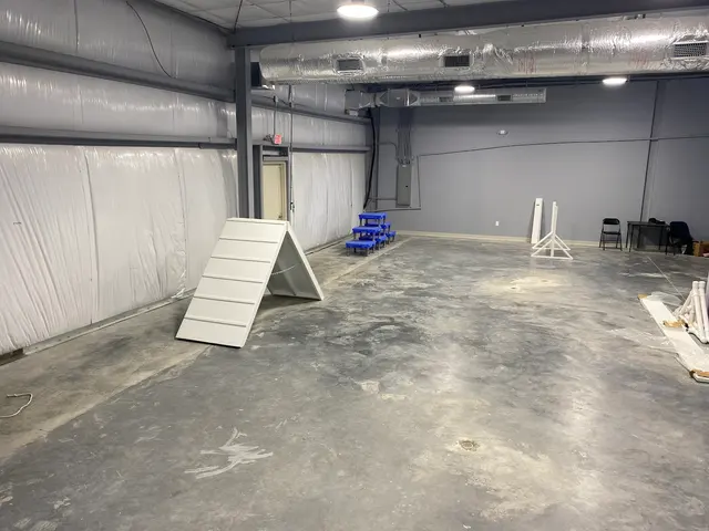Blue Line K-9 Dog Training — photo from the business 10