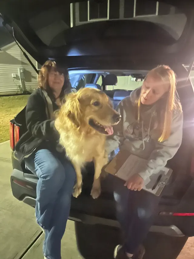 Blue Line K-9 Dog Training — photo from the business 9