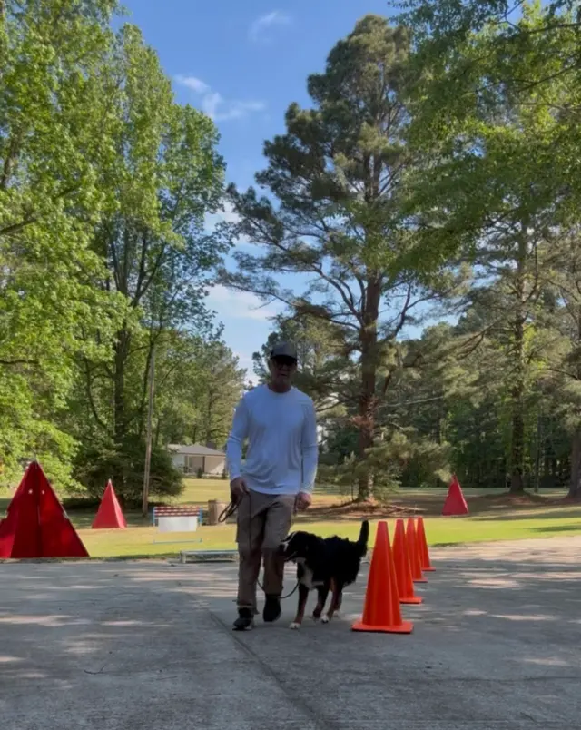 Best By Farr Dog Training — customer photo 10