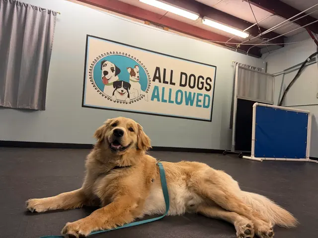 All Dogs Allowed — customer photo 3