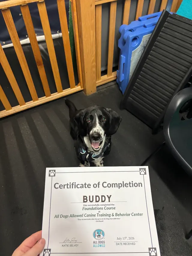All Dogs Allowed — customer photo 2
