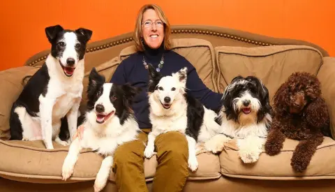 Whole Dog Institute — photo from the business 1