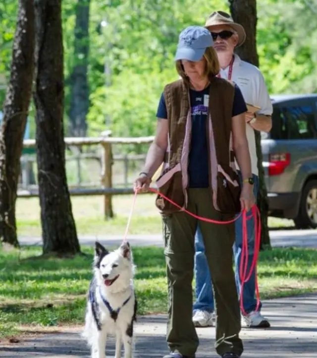 Whole Dog Institute — photo from the business 4